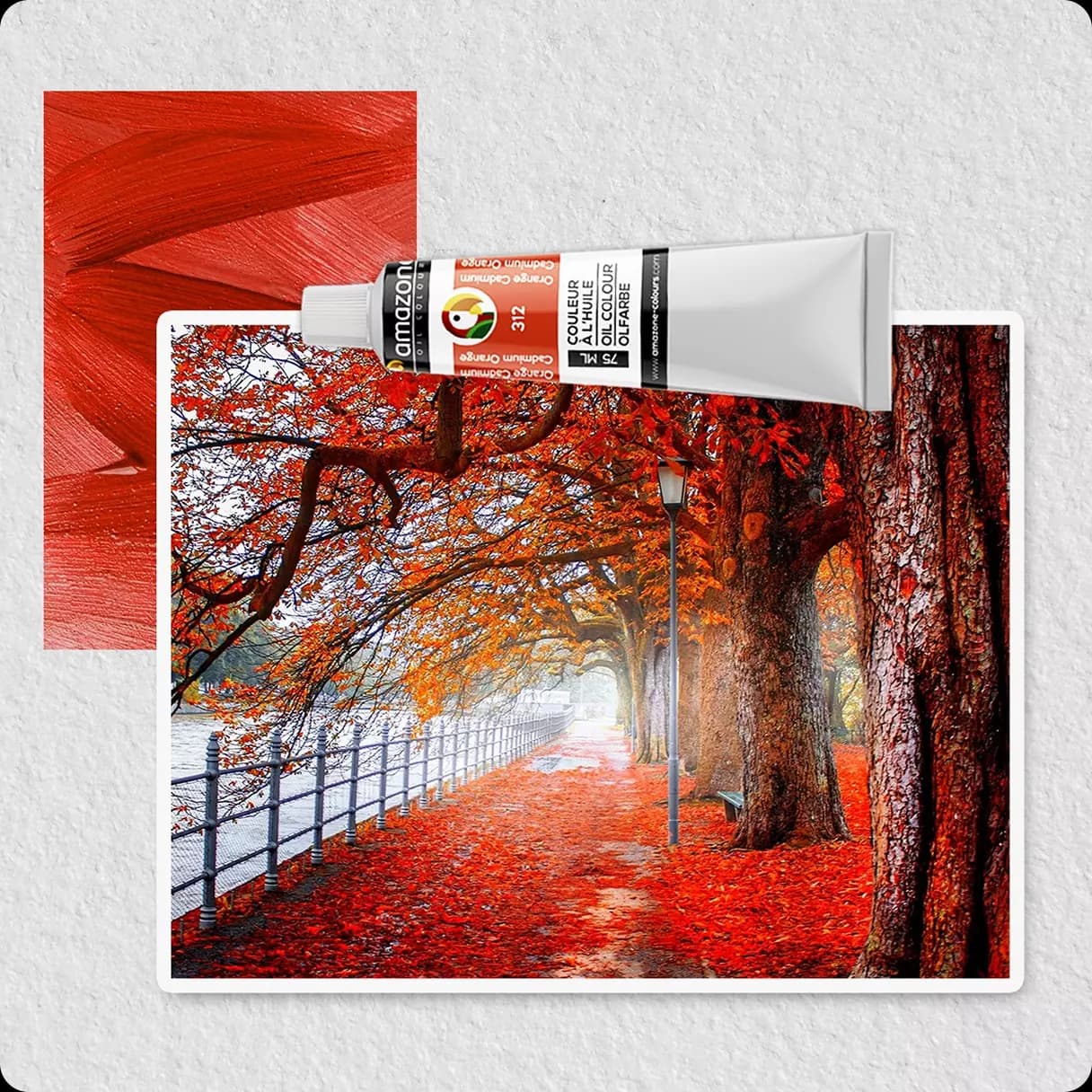 amazone showcase image 1