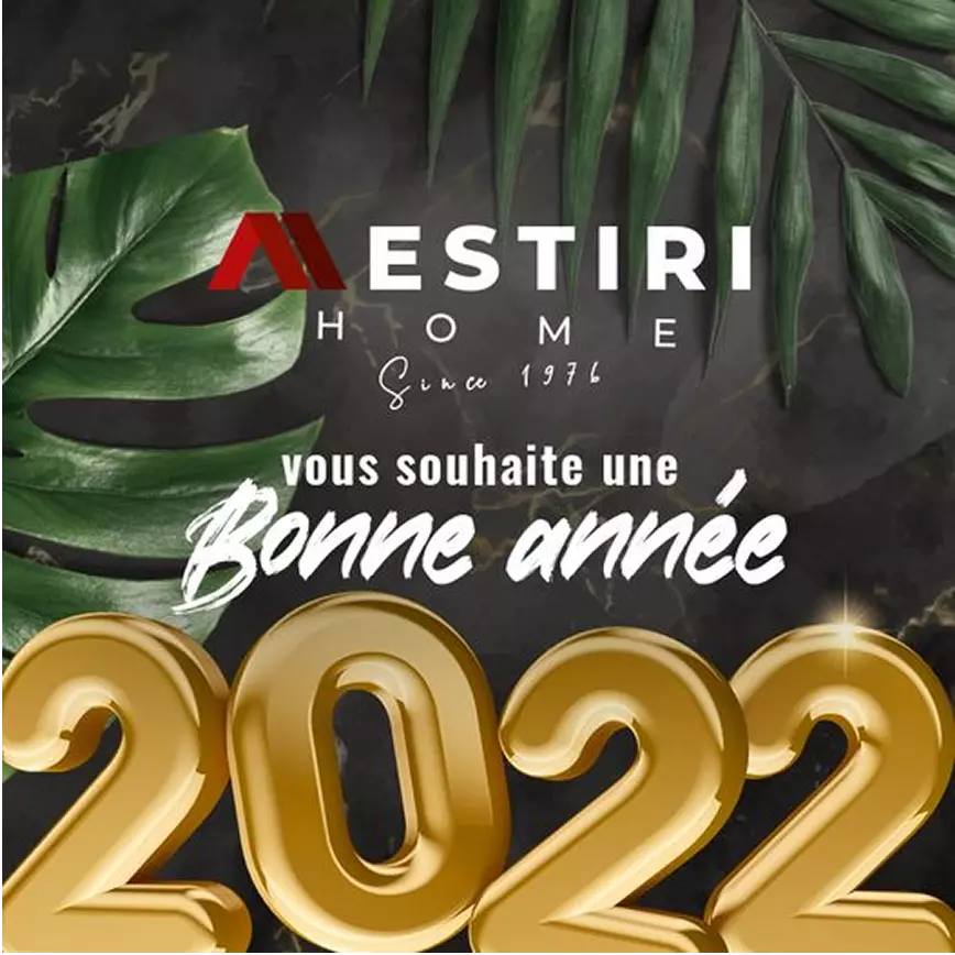 Mestiri social media post 9