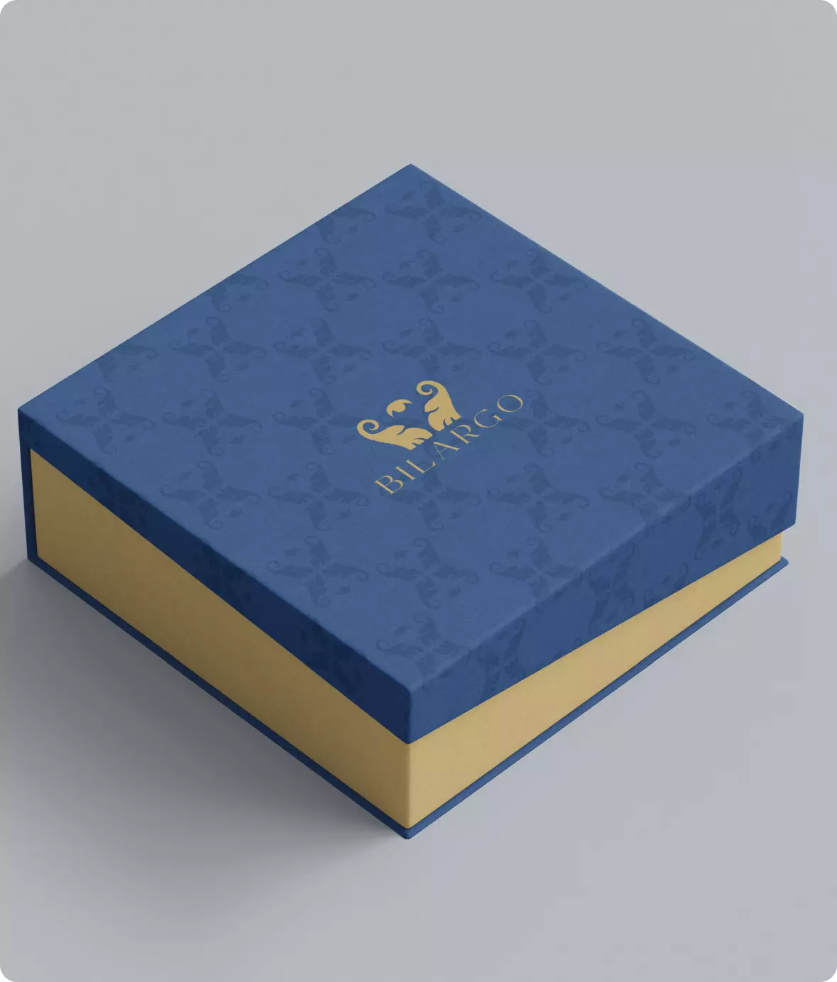 Thumbnail for Bilargo Branding project