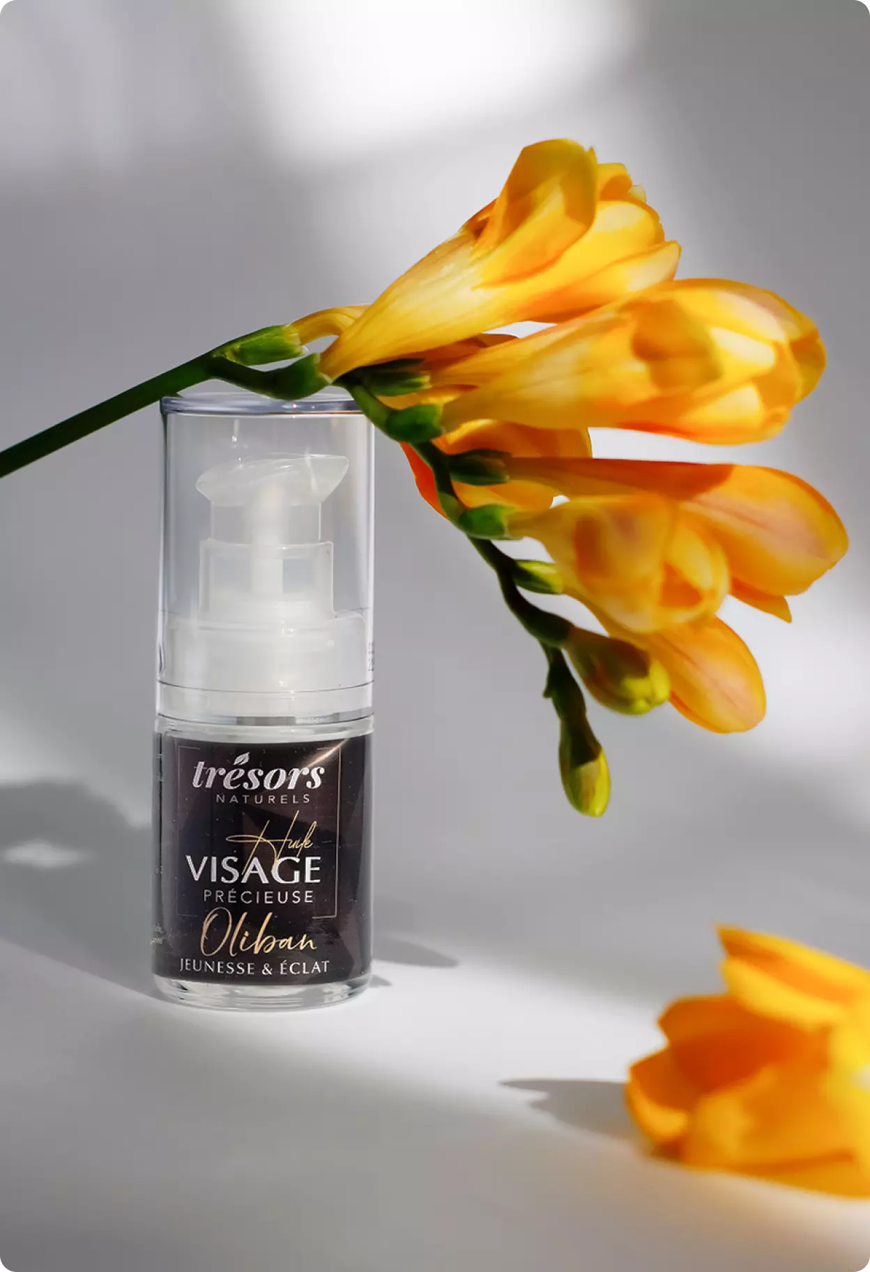 Thumbnail for Tresors naturels project