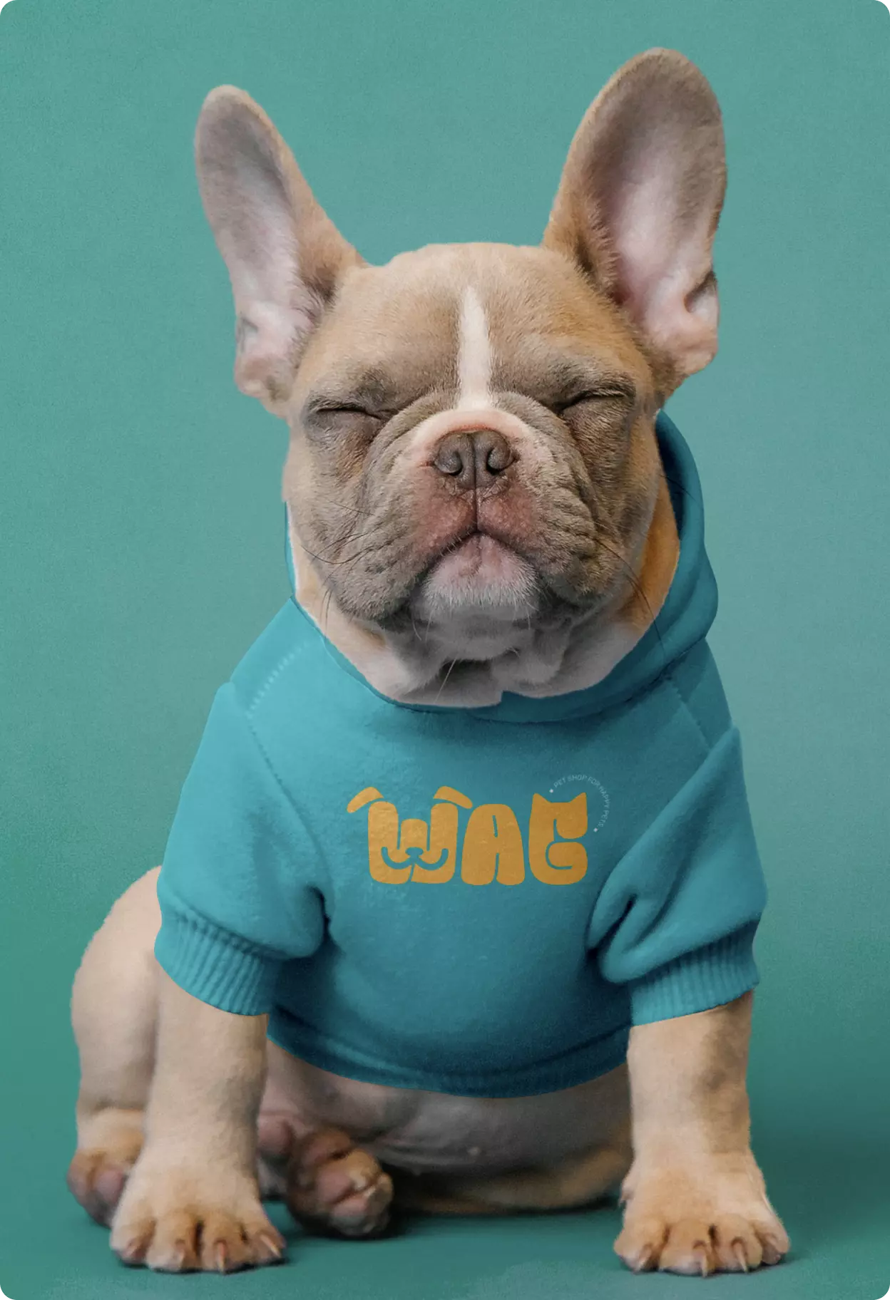 Thumbnail for WAG Branding project