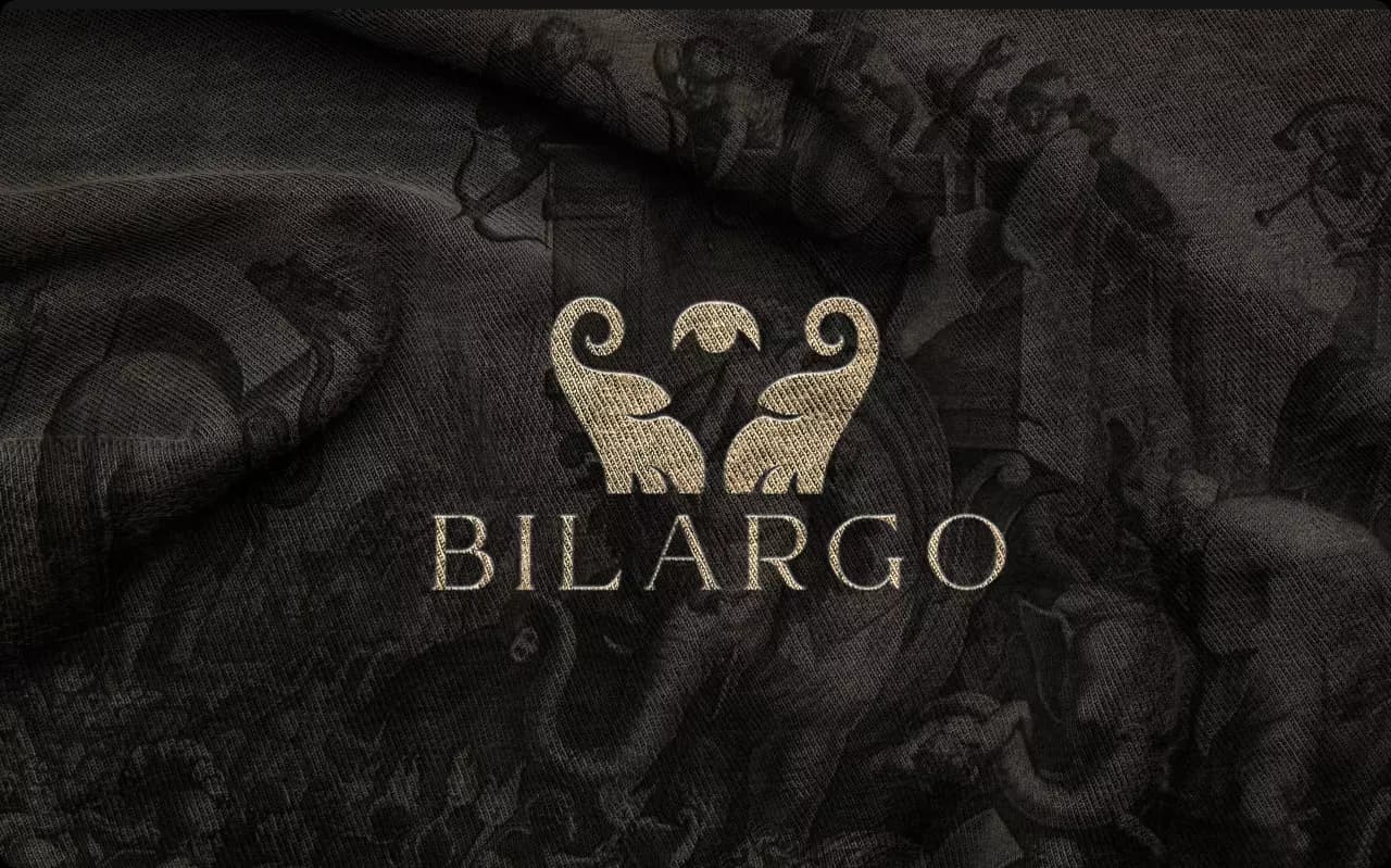 Hero image for the branding project