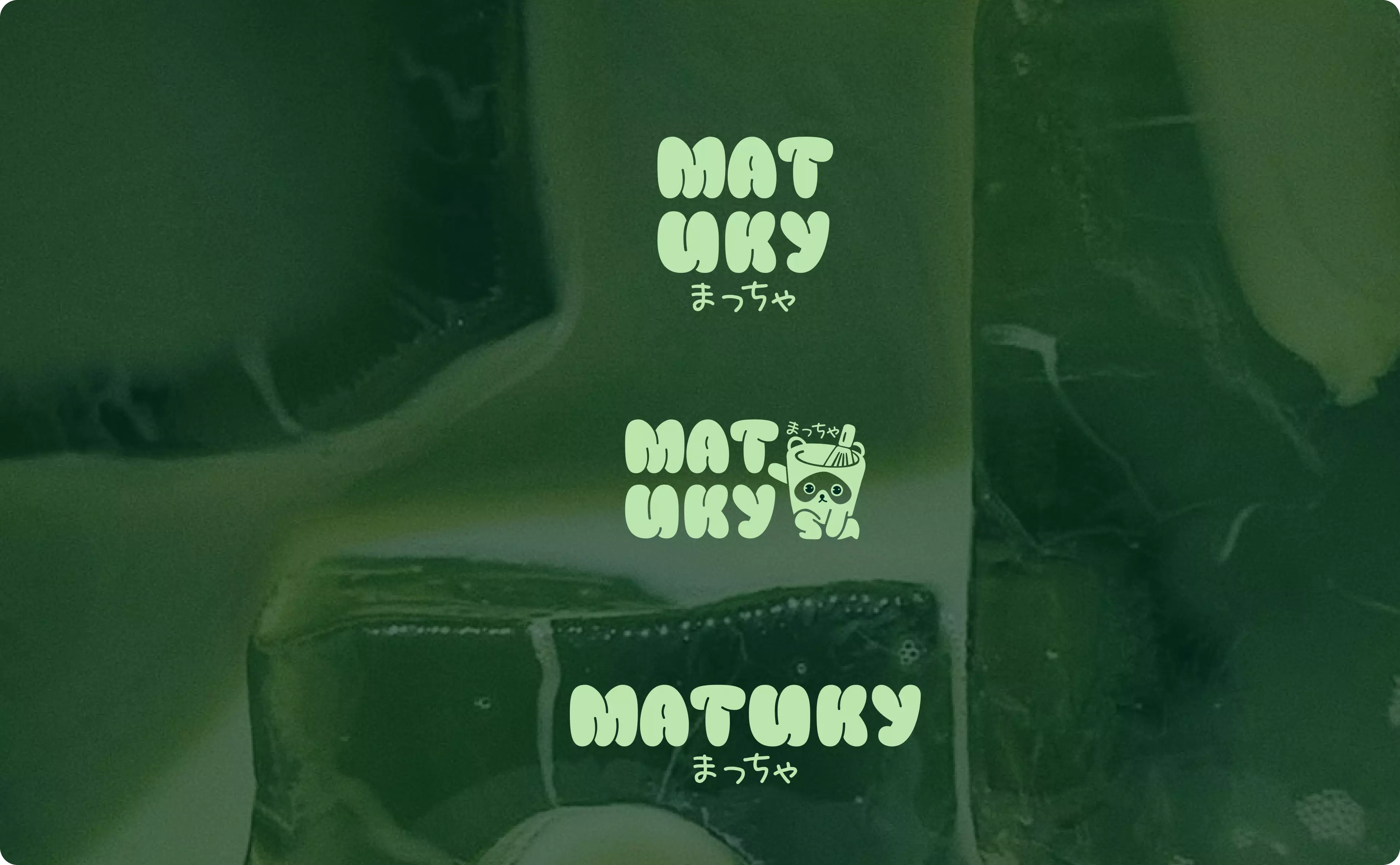 Hero image for the branding project