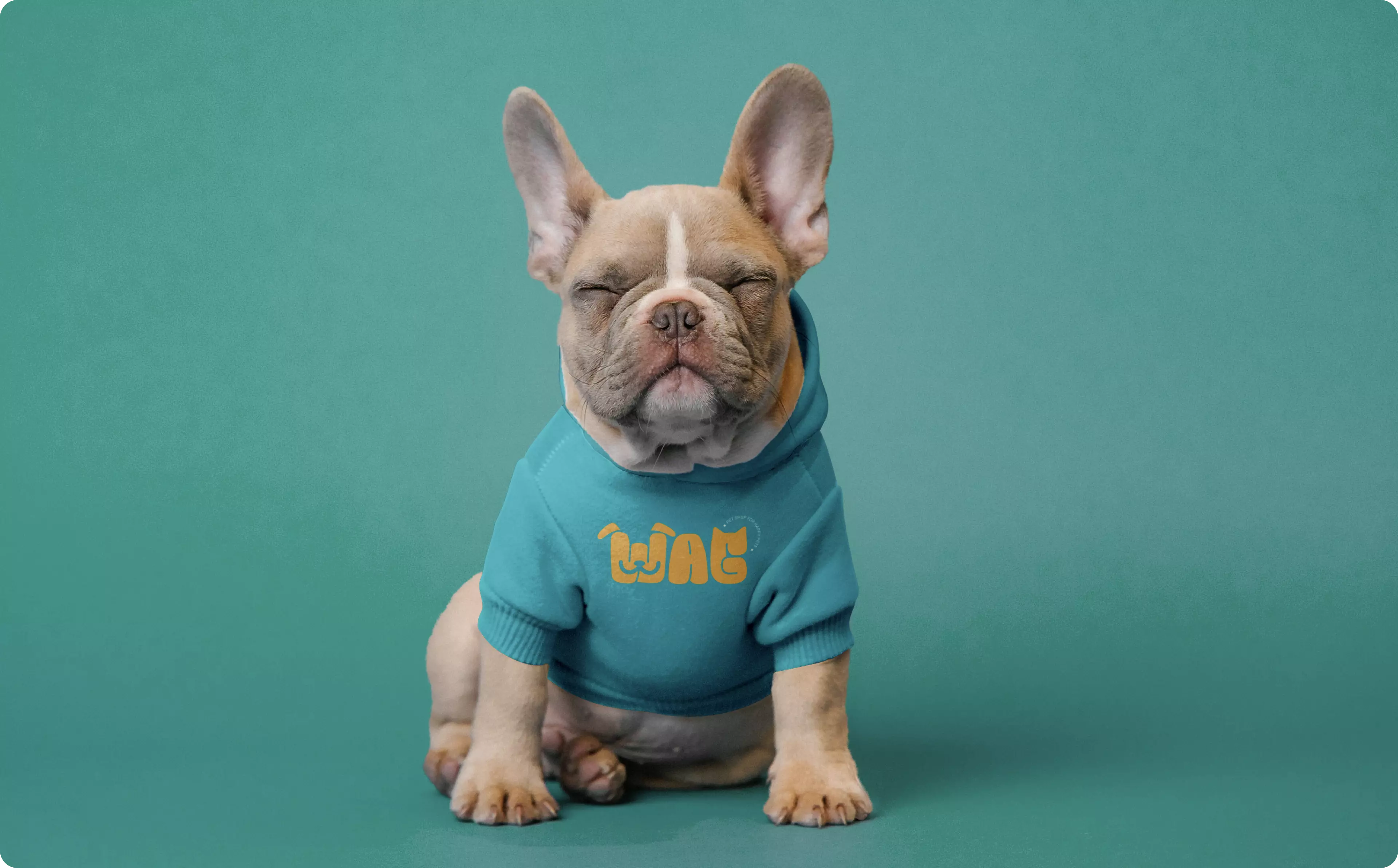 Hero image for the branding project